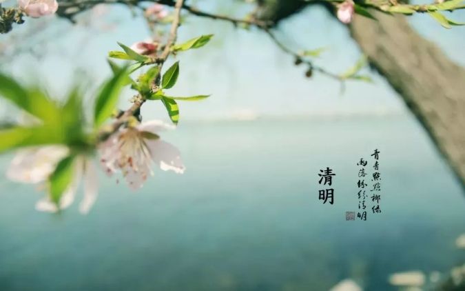 清明 || 雨紛紛，思故人