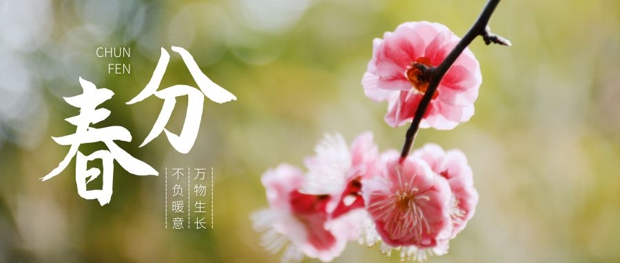 春分時節萬物生長，這份養生寶典一定要收藏！