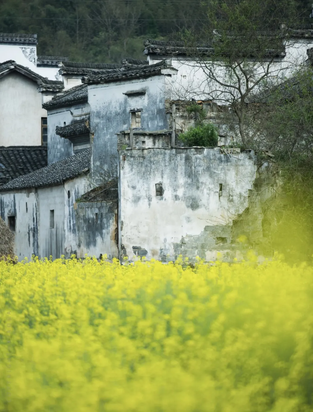 640.webp (2).png